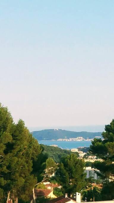 Villa Contemporaine F5 Cote Azur Ollioules Calme Екстериор снимка