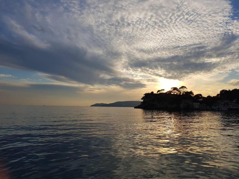Villa Contemporaine F5 Cote Azur Ollioules Calme Екстериор снимка