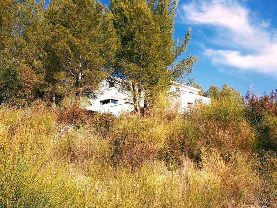Villa Contemporaine F5 Cote Azur Ollioules Calme Екстериор снимка